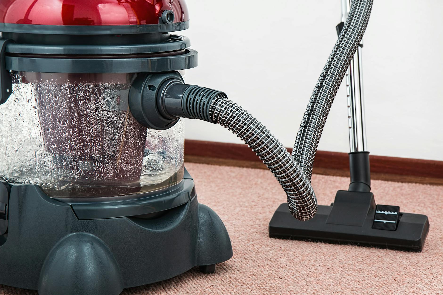 Professional carpet cleaning service