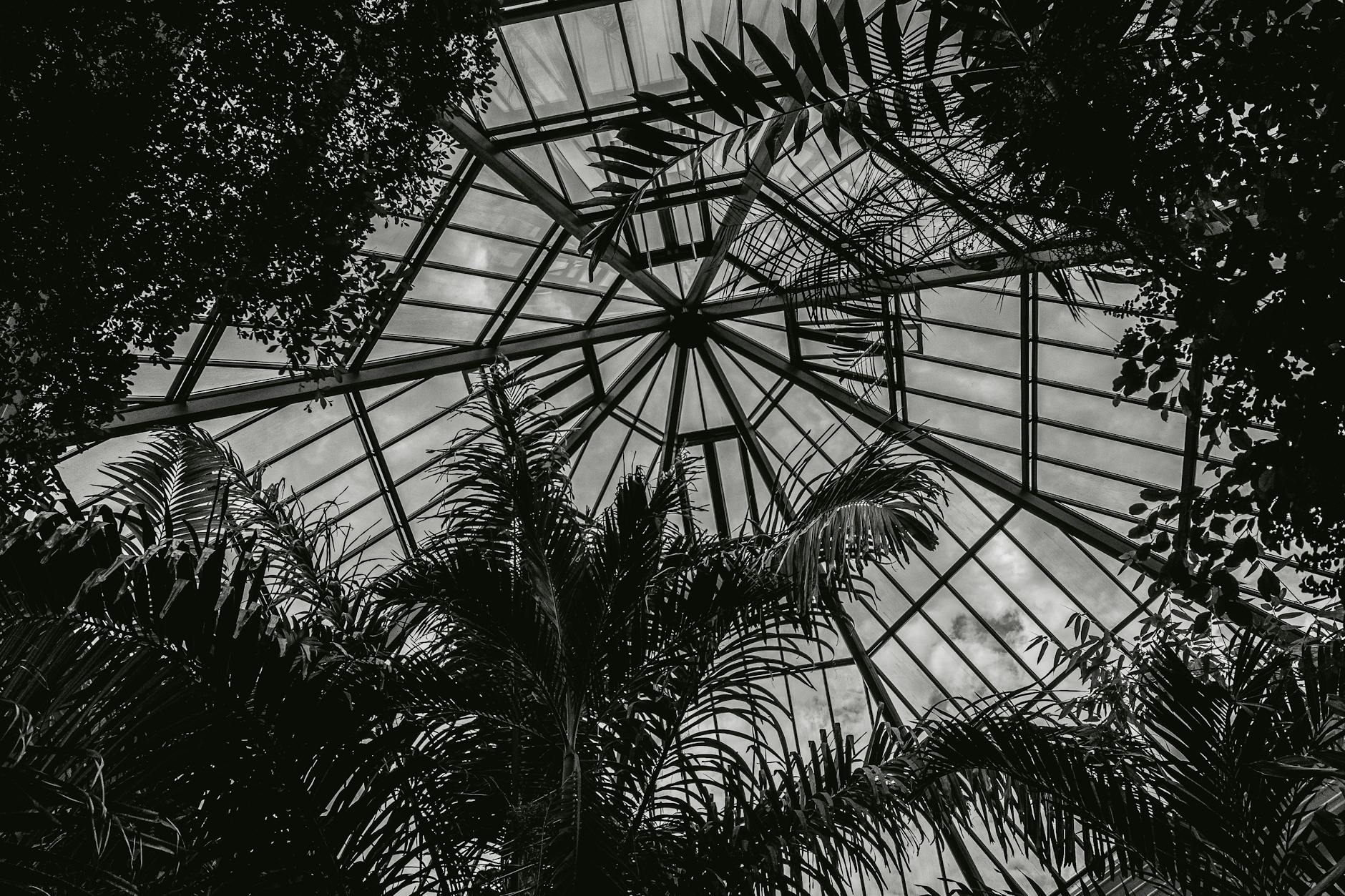 Professional conservatory cleaning service