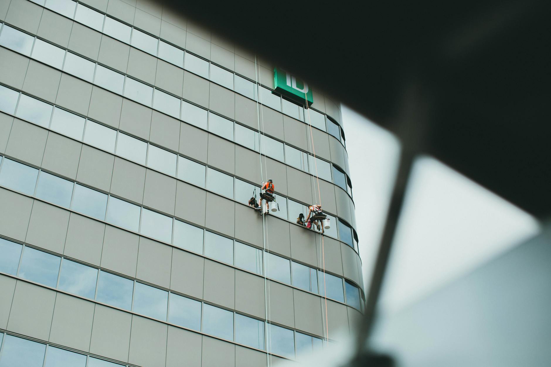 Professional window cleaning service